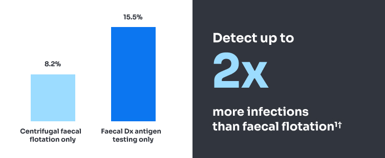 Centrifugal faecal flotation detects 8.2% of infection. Faecal Dx antigen testing detects up to 15.5% of infections.